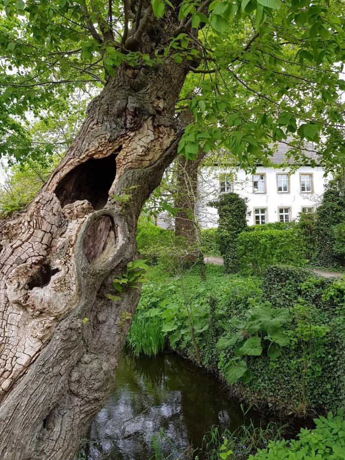 Ferienwohnung Varus Ostercappeln 外观 照片